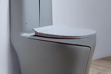 Cách lựa chọn bồn cầu vệ sinh đơn giản và chính xác 100%