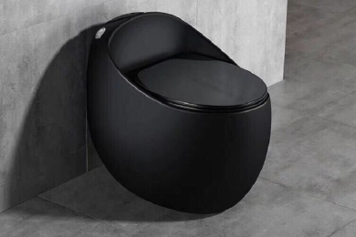 Đơn vị cung cấp bồn cầu trứng chất lượng cao, giao hàng tận nơi tại TP. HCM