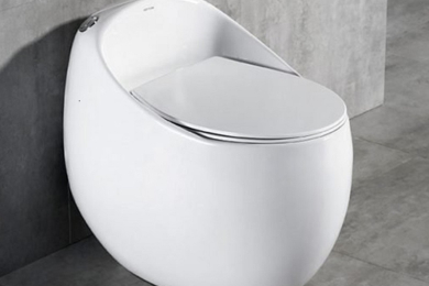 Lắp Đặt Bồn Cầu Liền Khối  - Tư vấn và báo giá miễn phí