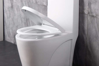 Tư vấn lắp đặt bồn cầu và thiết kế nhà tắm chuyên nghiệp