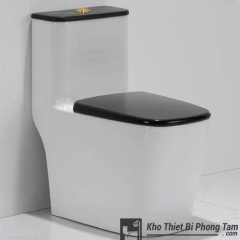 Bồn Cầu Cao Nắp Đen BC-6C868