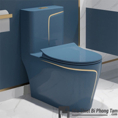 (NEW)Bồn Cầu 1 Khối Xám Xanh Viền Vàng BC-9224