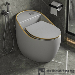 Bồn cầu trứng xám viền vàng BC1C-555