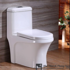 Bồn cầu 1 khối giá rẻ CD-668