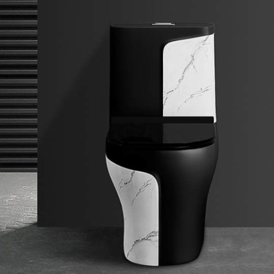 Bồn Cầu Trắng Đen  BC-1C108