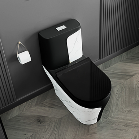 Bồn Cầu Trắng Đen  BC-1C108