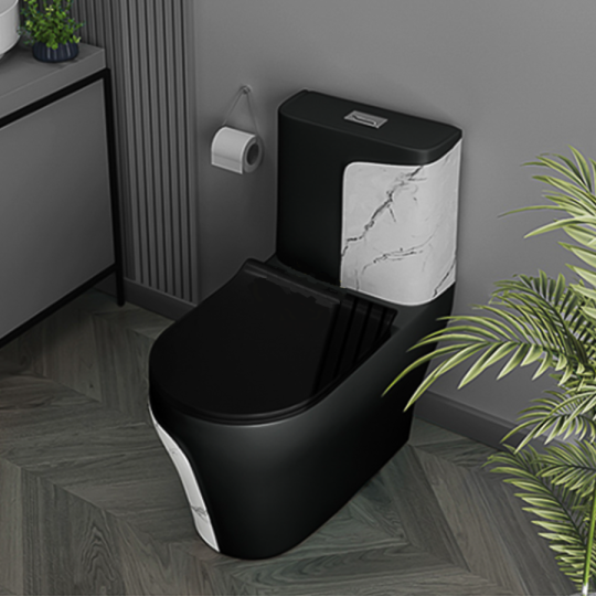 Bồn Cầu Trắng Đen  BC-1C108