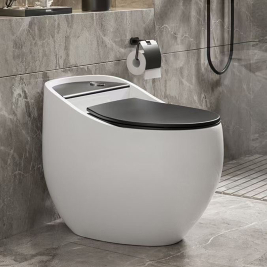 (NEW)Bồn cầu Trứng Nắp Đen BC-2C222