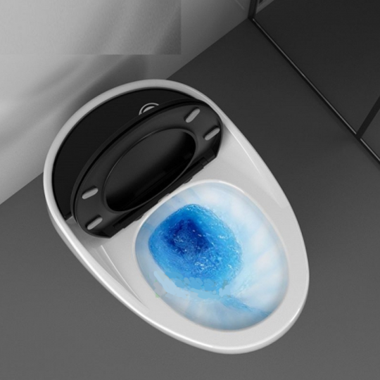 (NEW)Bồn cầu Trứng Nắp Đen BC-2C222