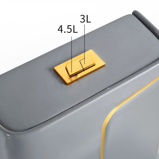 Bồn cầu 1 khối màu xám viền vàng CD-106