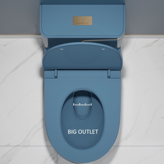 (NEW)Bồn Cầu 1 Khối Xám Xanh Viền Vàng BC-9224