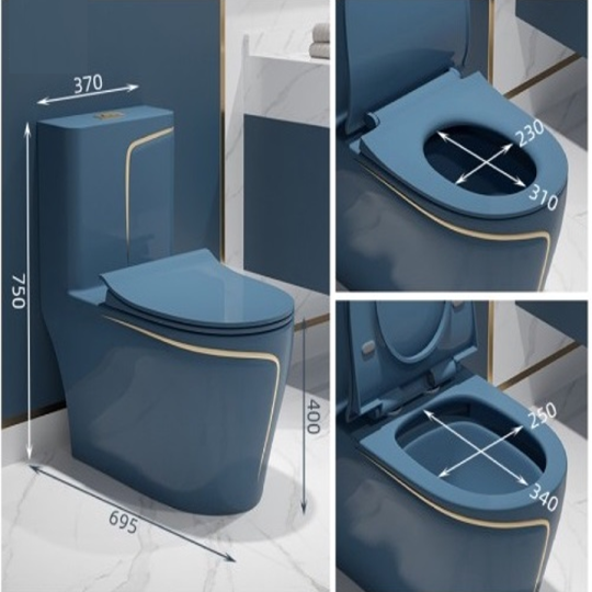 (NEW)Bồn Cầu 1 Khối Xám Xanh Viền Vàng BC-9224