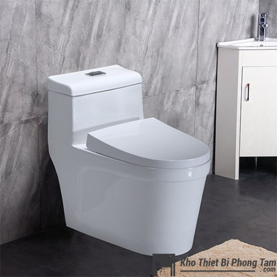 Bồn Cầu Lùn Nắp Dầy BC-5C399