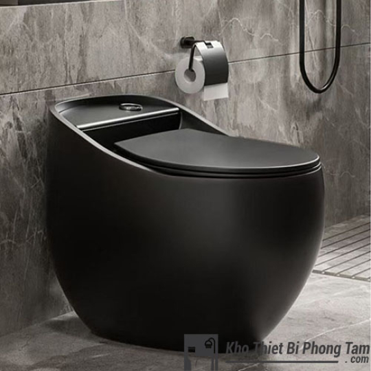 (NEW) Bồn Cầu Trứng Đen BC-2C333