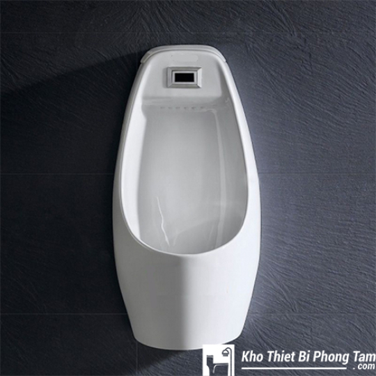 Xã Tiểu Nam Cảm Ứng BT-368Xt