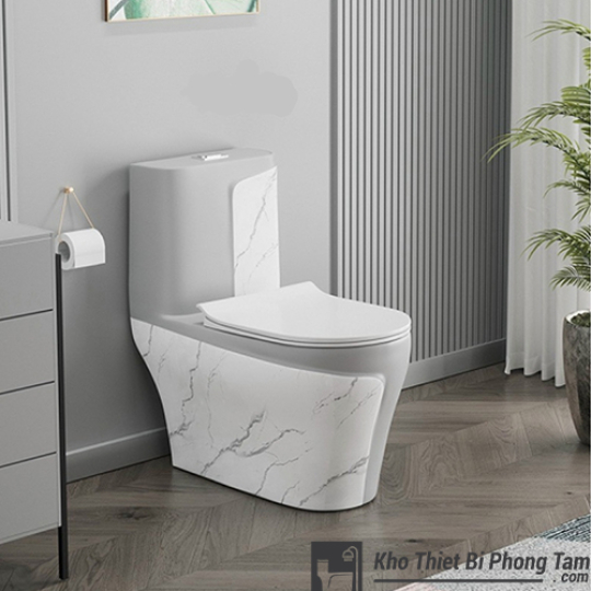 Bồn Cầu Trắng Xám BC-1C108