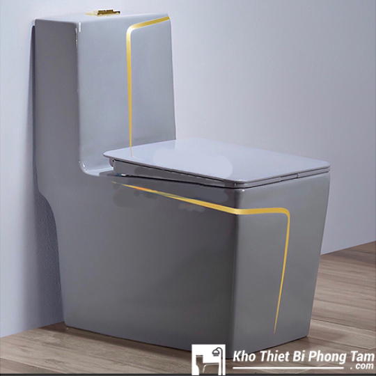 Bồn Cầu 1 Khối Vuông Xám Viền Vàng BC-1C106V