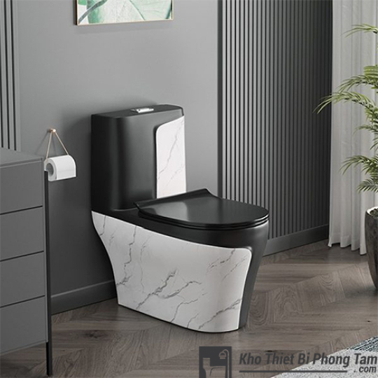 Bồn Cầu Trắng Đen BC-1C108