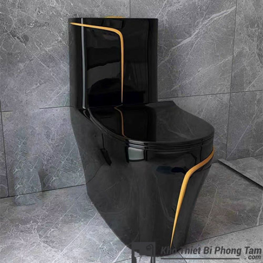 Bồn cầu 1 khối màu đen viền vàng CD-103
